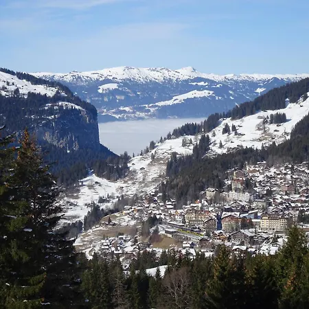 Alpina Gyger Wengen