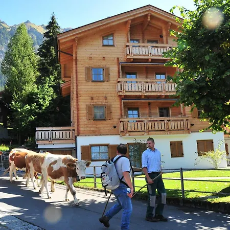 Alpina Gyger Bed & Breakfast *
