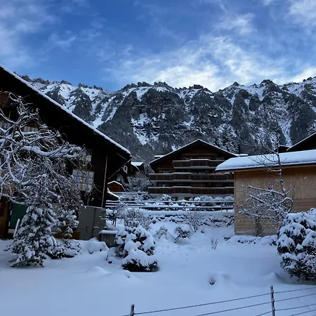 Bed & Breakfast Alpina Gyger Wengen